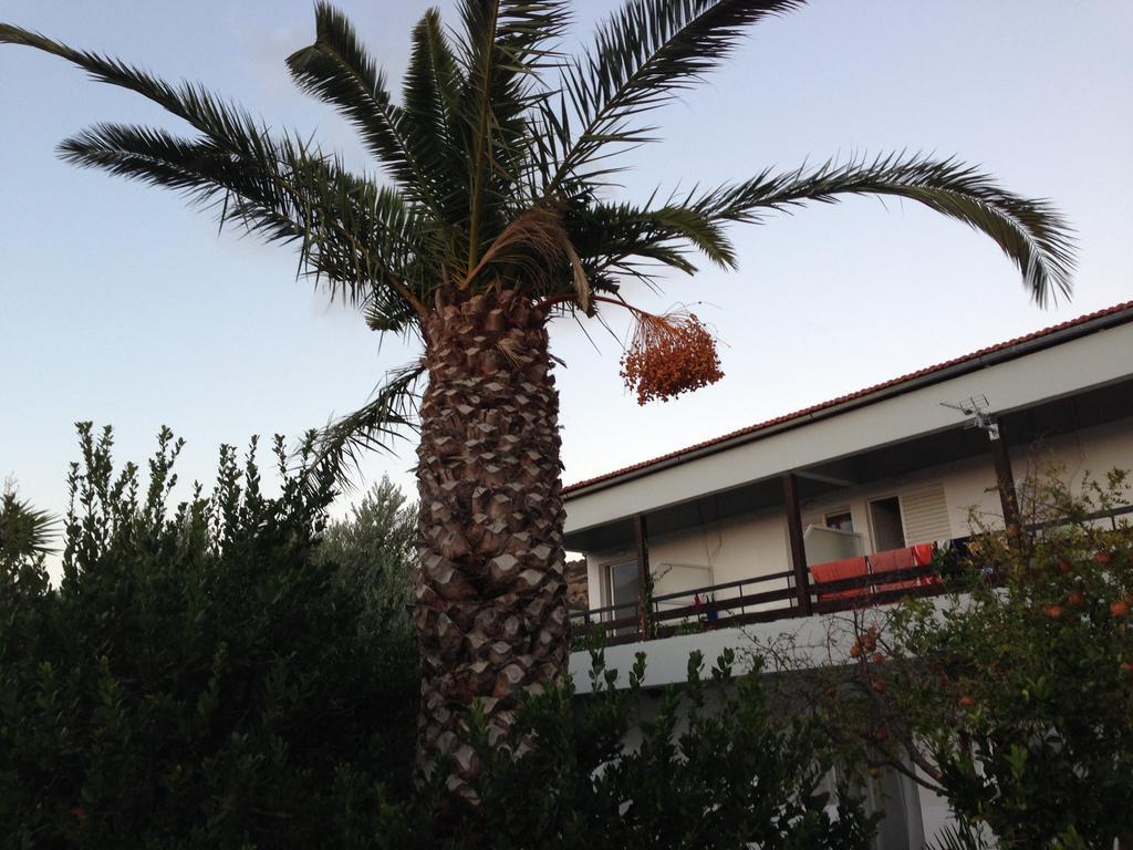 Sunningdale Hotel Agia Galini Eksteriør billede